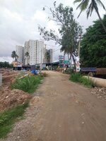 Project