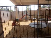 Project