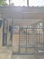 Project
