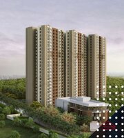 Model Flat Images