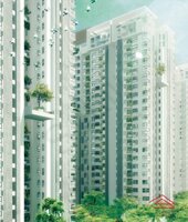 Model Flat Images