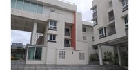 Model Flat Images