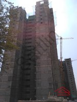Project