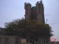 Project