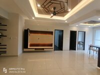 Model Flat Images