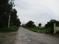Project
