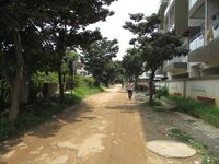 Project