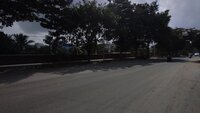Project