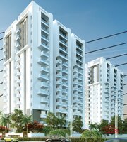 Model Flat Images