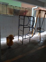 Project