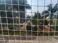 Balcony 1