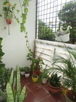 Balcony 1