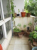 Balcony 1