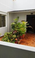 Private Terrace 