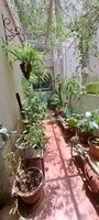 Balcony 2