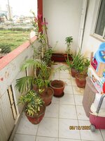 Balcony 1