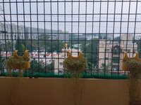 Balcony 1