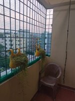 Balcony 1