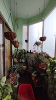 Balcony 1