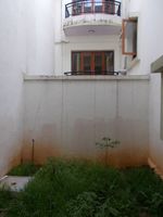 Garden 1