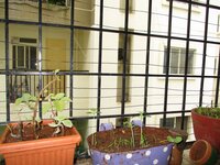 Balcony 1