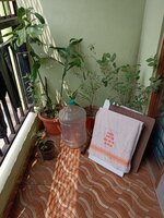 Balcony 1