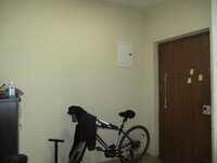 Hall 1