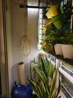 Balcony 1