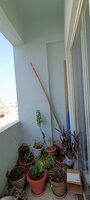 Balcony 1