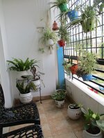 Balcony 1
