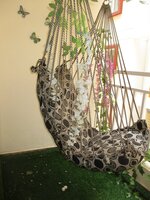 Balcony 1