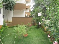 Garden 1