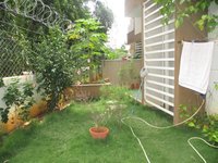 Garden 1