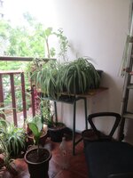 Balcony 1