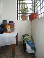 Balcony 1