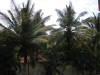 Balcony 1