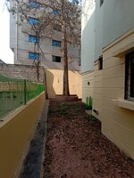 Garden 1