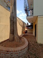 Garden 1