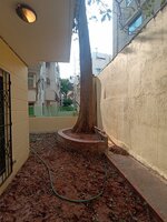 Garden 1