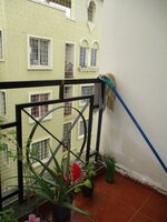 Balcony 1
