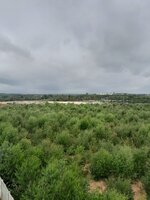 terraces 1