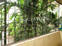 Balcony 2