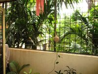 Balcony 1