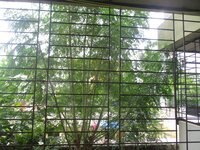 Balcony 1