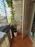 Balcony 2