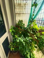 Balcony 1