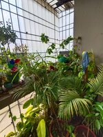 Balcony 1