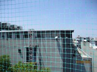 Balcony 3