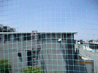 Balcony 2