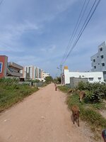 Unit:  Approach Road